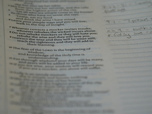a page of a book with writing