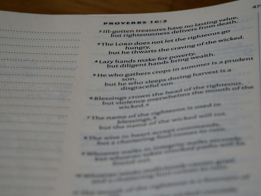 a page of a book