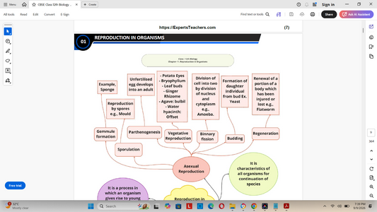 CBSE Class 12 Biology Revision Notes with Mindmaps