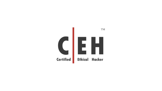 CEH v13 Practice Exams - 600 Questions for Certified Ethical Hacker
