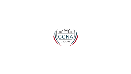 Cisco CCNA 200-301 Practice Exams | 800+ Questions for Success