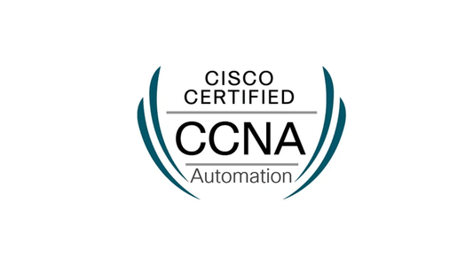 Cisco DEVASC 200-901 practice tests for CCNA network automation course by ITPracticeTests, featuring sample exam questions and interface.