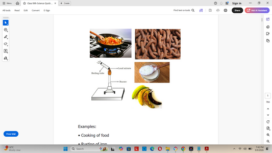 Class 10 Science Revision Notes with Mindmap for Quick Success