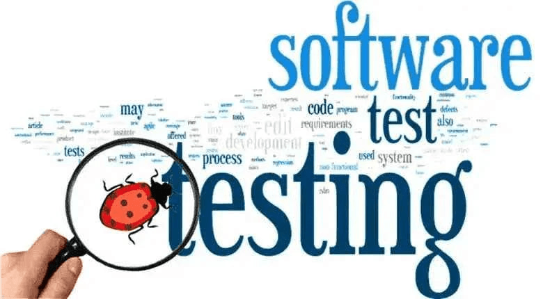 Magnifying glass inspecting a ladybug amidst software testing and development word cloud.